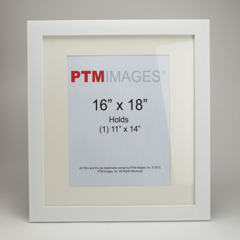PTM Images Small Picture Frame Wayfair